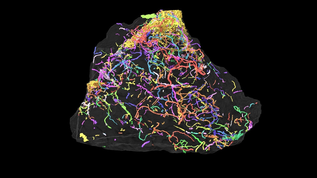 When (animal) life got small - meiofauna in the Ediacaran